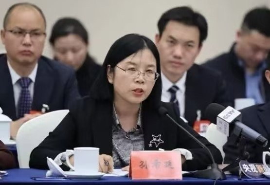 全國(guó)人大代表孫希延：三建議推廣西與老撾人工智能合作