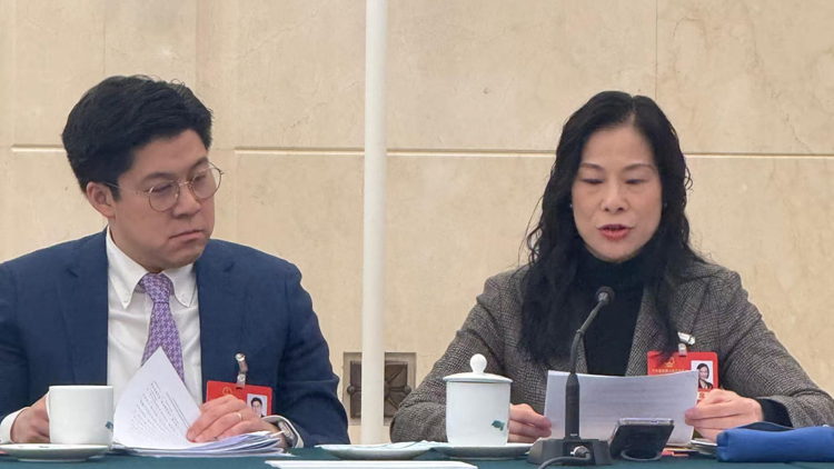 全國兩會 | 陳曼琪：香港機遇無限發(fā)揮自身優(yōu)勢 為國家現(xiàn)代化建設作出更大貢獻
