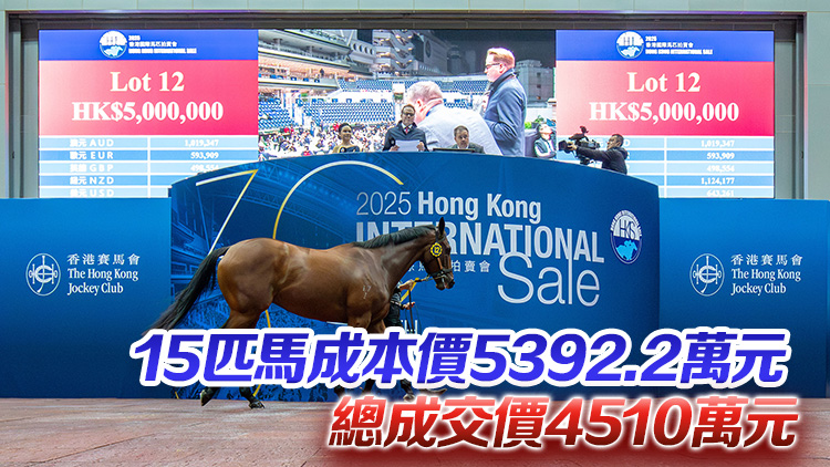 國際馬匹拍賣會12號售出500萬成標王 15駒競投蝕逾880萬元