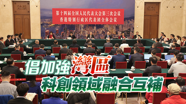 全國(guó)兩會(huì)｜港區(qū)代表熱議為國(guó)家發(fā)展貢獻(xiàn)香港力量