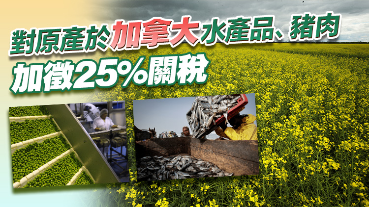 反制！中國(guó)對(duì)加拿大菜子油油渣餅豌豆等加徵100%關(guān)稅