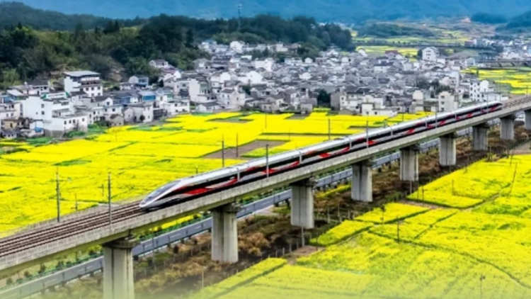 2025年前兩個(gè)月 全國(guó)鐵路完成固定資產(chǎn)投資685.4億元