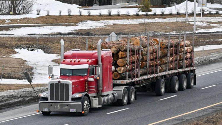 特朗普：可能對加拿大奶製品和木材徵收對等關(guān)稅