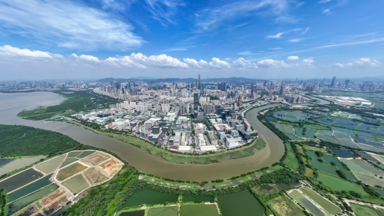 全國兩會(huì)｜胡曉明建議發(fā)展具國際影響力的創(chuàng)新科技生態(tài)圈 嚴(yán)厲打擊造假黑中介