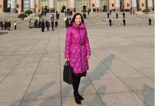 全國兩會｜陳曼琪：全力支持全國人大常委會工作報告和兩高報告 深入統(tǒng)籌推進國內(nèi)與涉外法治建設(shè)