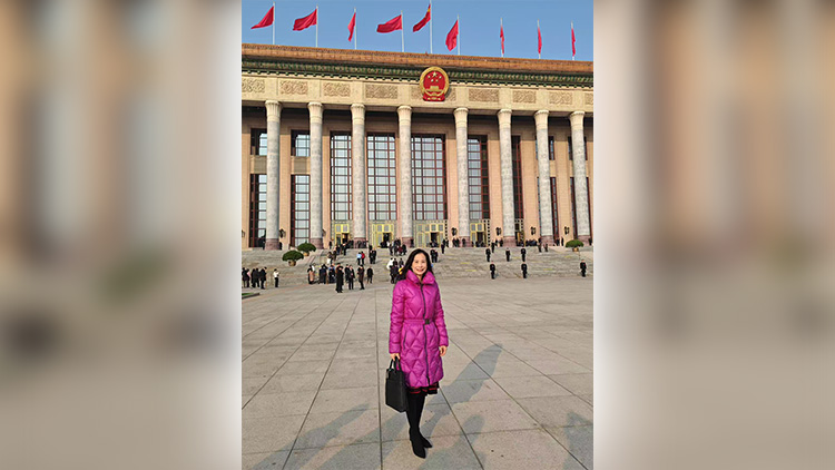 全國(guó)兩會(huì)｜陳曼琪：全力支持全國(guó)人大常委會(huì)工作報(bào)告和「兩高」報(bào)告 深入統(tǒng)籌推進(jìn)國(guó)內(nèi)與涉外法治建設(shè)