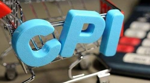 國家統(tǒng)計局城市司首席統(tǒng)計師董莉娟解讀2025年2月份CPI和PPI數(shù)據(jù)