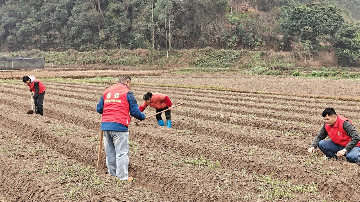 桂容縣：幹群同心搶農(nóng)時(shí) 春耕生產(chǎn)「加速跑」