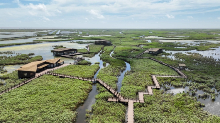 李峻：崇明生態(tài)立島擘畫發(fā)展新圖景