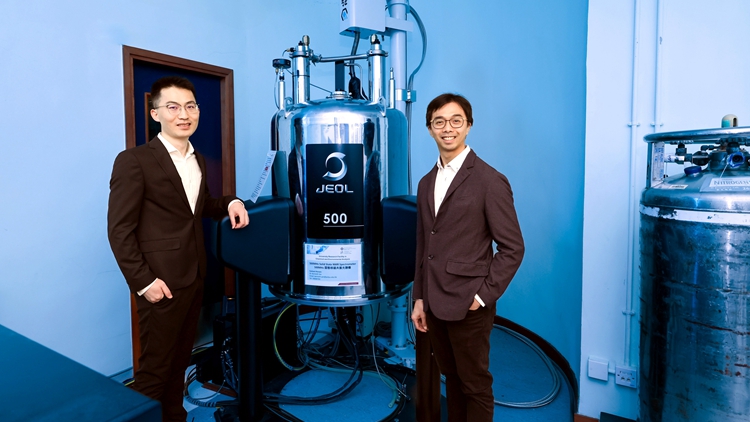 理大研究揭沸石可促進(jìn)石油化工和再生能源應(yīng)用