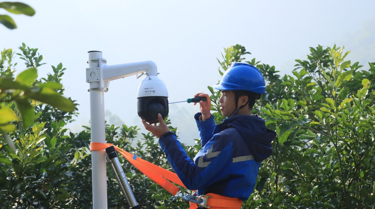 桂容縣：「智賦柚業(yè)」擘好產(chǎn)業(yè)振興新畫卷