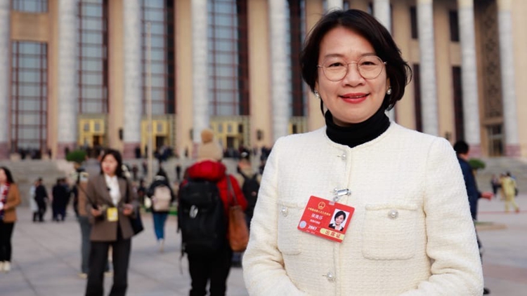 全國(guó)兩會(huì)｜梁美芬：須發(fā)揮香港自身優(yōu)勢(shì) 協(xié)助國(guó)家對(duì)外建立更多民間友誼