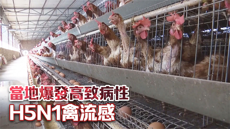 本港暫停進口波蘭和英國部分地區(qū)禽肉及禽類產(chǎn)品