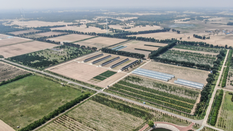 森林覆蓋率超25% 中國(guó)成為全球增綠最快最多的國(guó)家