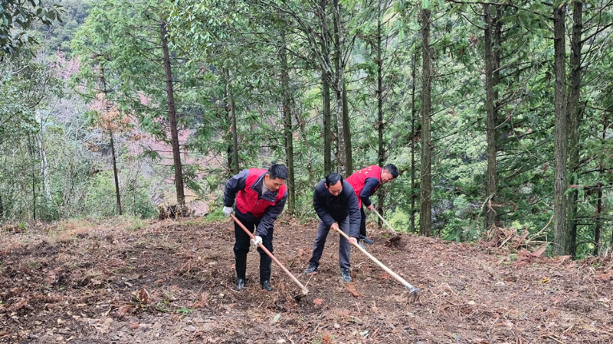 皖黟縣柯村鎮(zhèn)：共建美麗三合 共享生態(tài)福祉