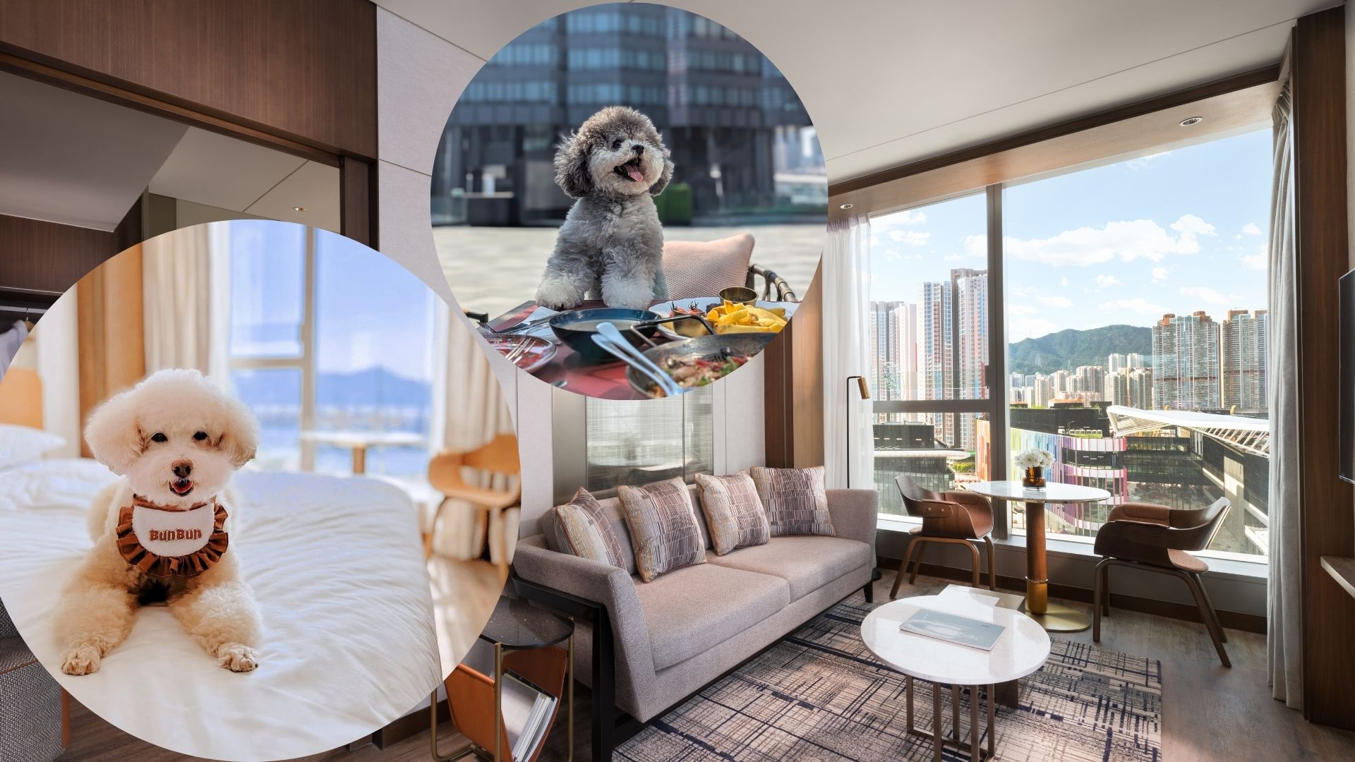 【玩樂(lè)】寵物友善酒店住宿優(yōu)惠 與愛(ài)寵共度愉快假期