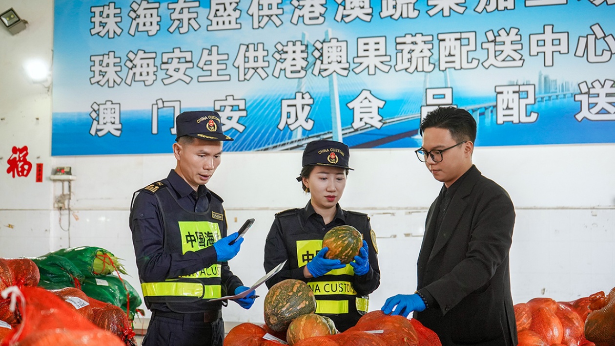 港珠澳大橋再添跨境生鮮運(yùn)輸新成員  拱北海關(guān)香洲海關(guān)助力珠海企業(yè)蔬菜便捷供港