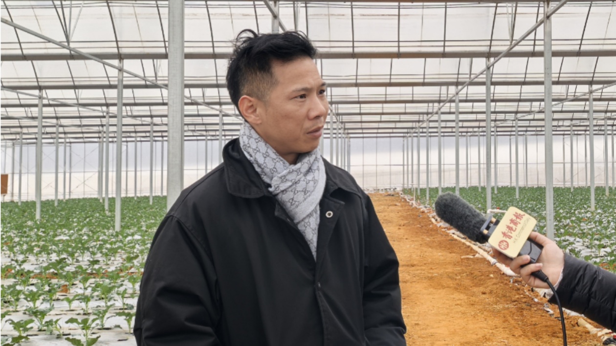 年產(chǎn)值3500萬元 港商赴桂當(dāng)「菜農(nóng)」