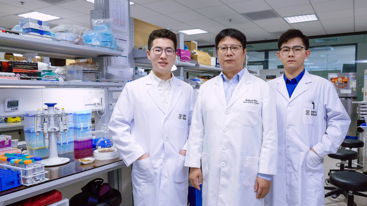 港大醫(yī)學(xué)院發(fā)現(xiàn)糖尿病腎臟病變發(fā)炎機(jī)制 可望為患者提供新治療方向