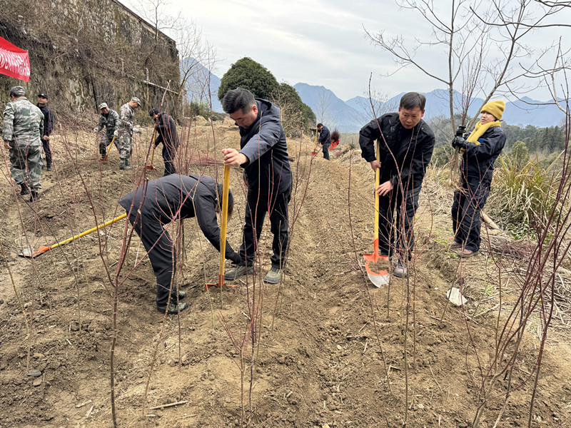 皖太平湖國有林場：增綠添綠提升生態(tài)亮色