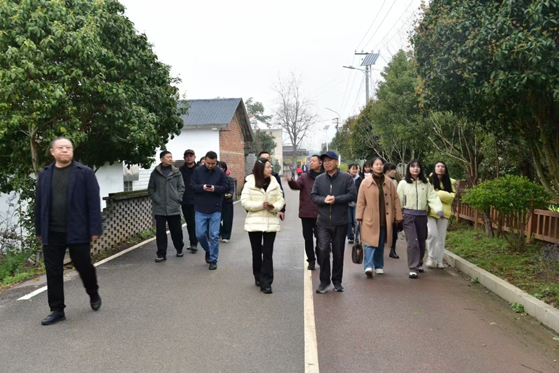 湖南省長株潭一體化發(fā)展事務(wù)中心調(diào)研鵝洲島鄉(xiāng)村振興項目