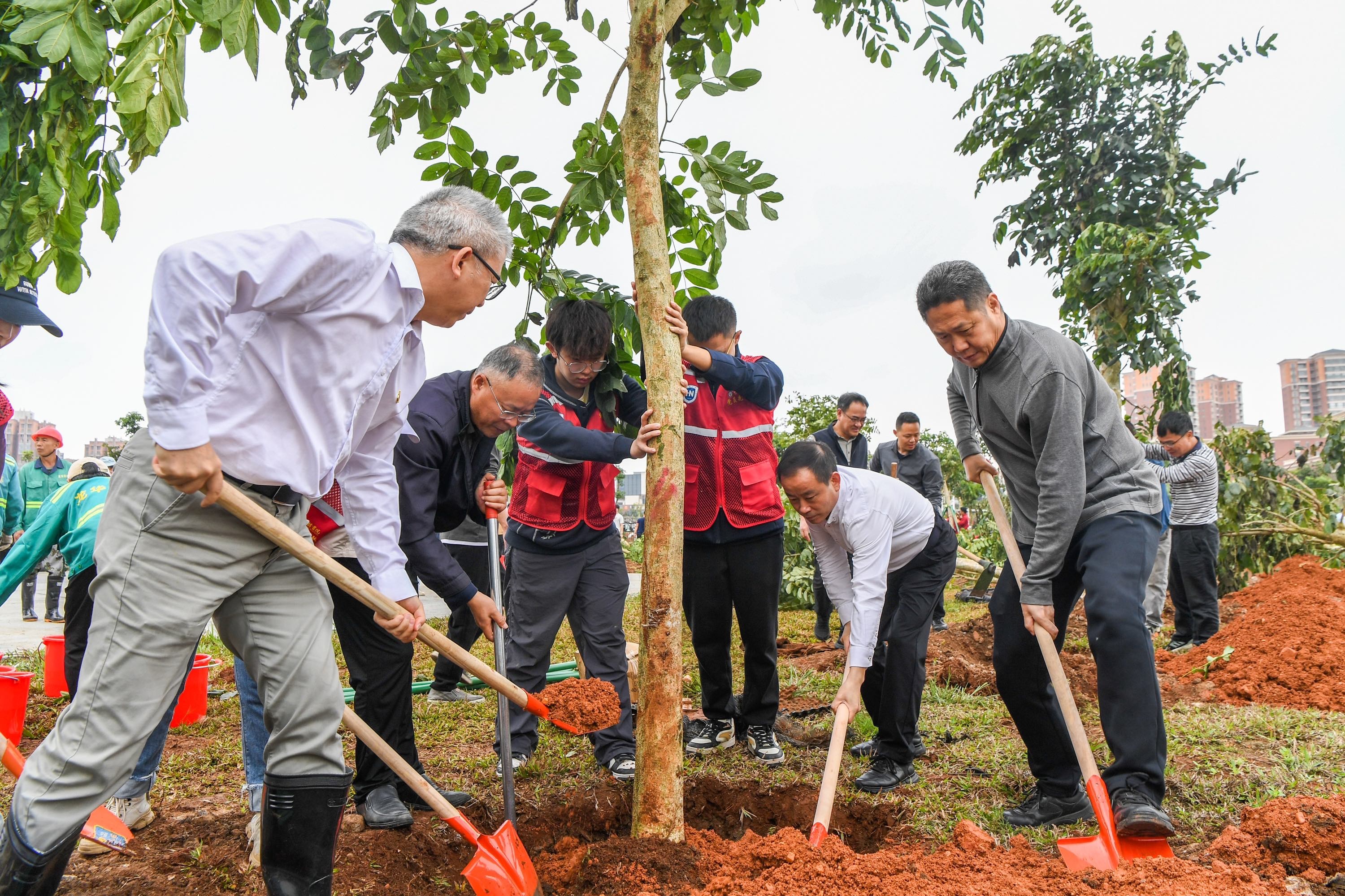 ?？谑旋埲A區(qū)組織開展2025年義務(wù)植樹活動