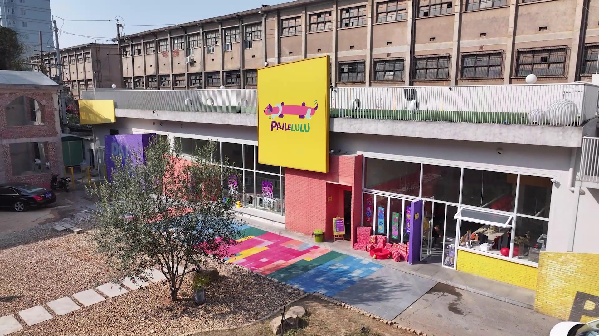 《在長沙 都實現(xiàn)》第十九集：「寵」出新花YOUNG！從養(yǎng)寵人到養(yǎng)寵創(chuàng)業(yè)人