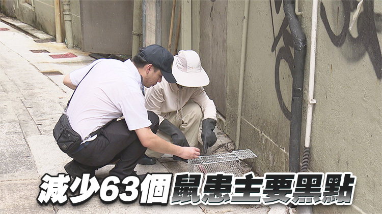 食環(huán)署去年檢獲近12.3萬(wàn)隻活鼠及死鼠 按年増加26%