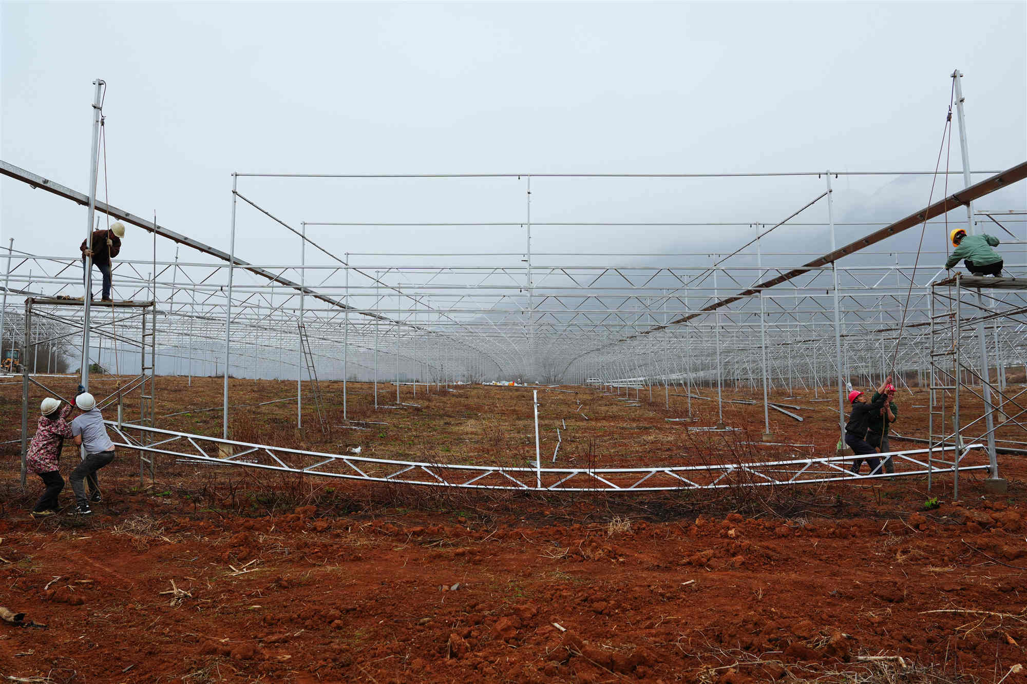 桂賀州鐘山縣大力推動蔬菜設(shè)施建設(shè)