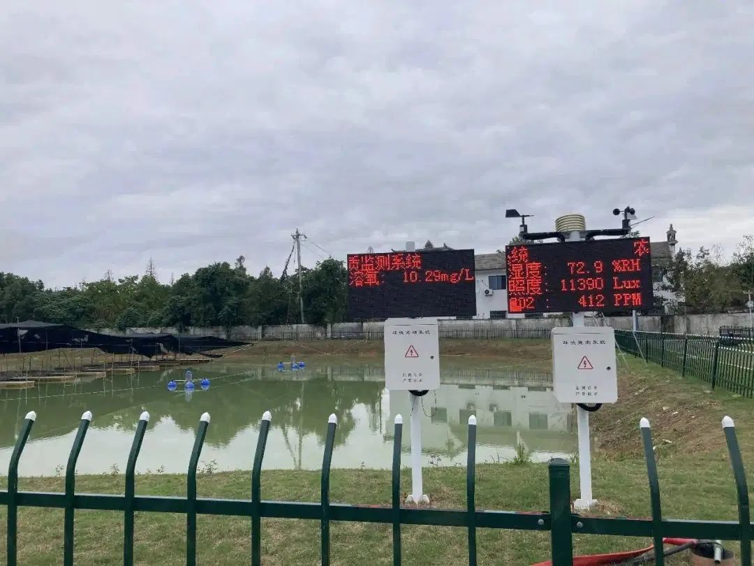 黃山徽揚物聯(lián)科技：推動產(chǎn)業(yè)數(shù)字化乘風起勢