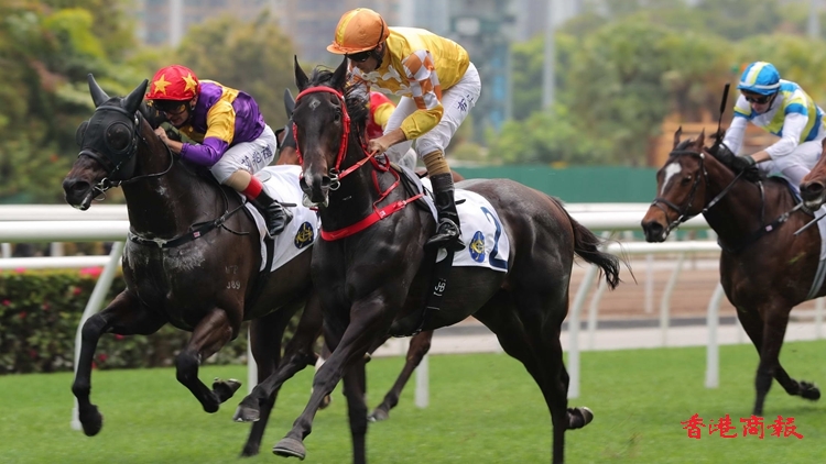 有片｜跨境寶馬再下一城 跨境電商吳海波：好難得有這匹好馬