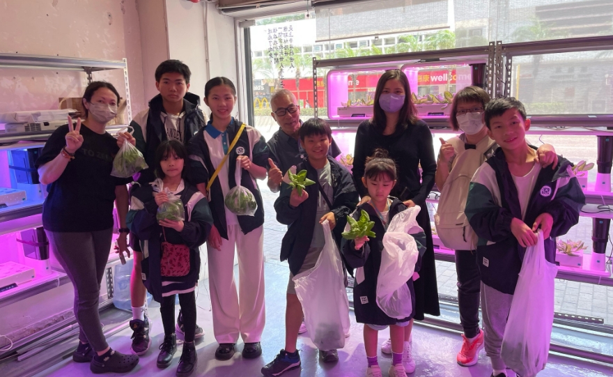 少訊會(huì)員體驗(yàn)水耕種植 親歷菜苗茁壯成長