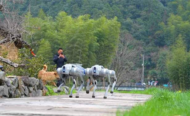 皖黟縣潭口度假區(qū)：智能機(jī)器狗 「上崗」 多元化服務(wù)進(jìn)階