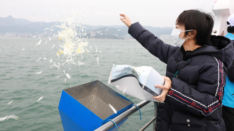 1150具骨灰撒海，深圳舉行第51次海葬