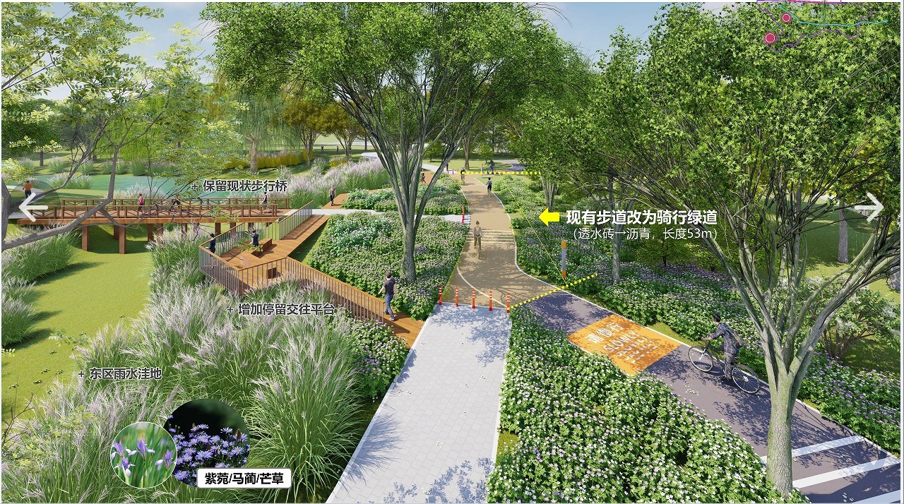 北京朝陽2025年全力推進(jìn)花園城市建設(shè)