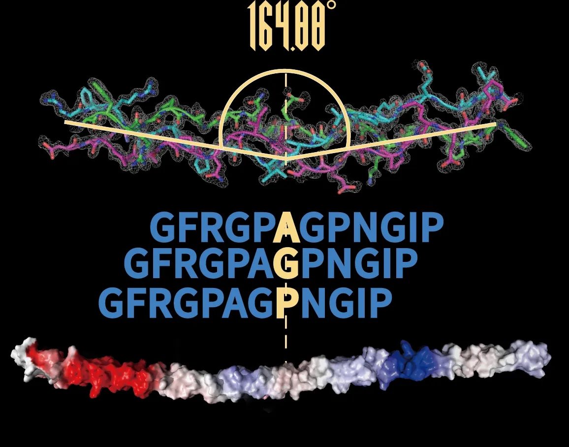 錦波生物獲權(quán)威認可 以「透明革命」引領(lǐng)行業(yè)高質(zhì)量發(fā)展