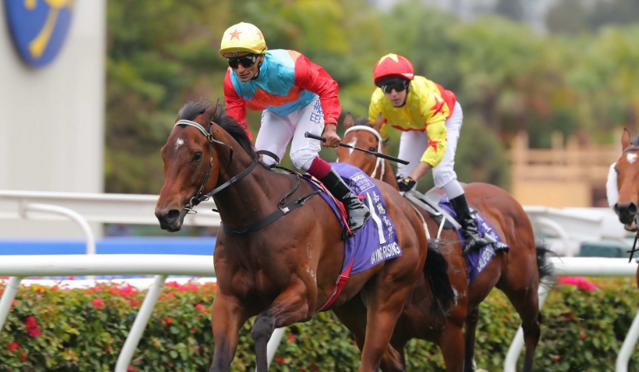 冠軍賽馬日4·27沙田馬場(chǎng)上演 嘉應(yīng)高昇遨遊氣泡主場(chǎng)迎敵