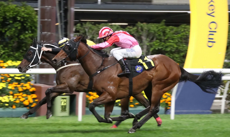 有片丨田泰安打破悶局 祥勝力駒勝出紀(jì)利華木球會挑戰(zhàn)盃