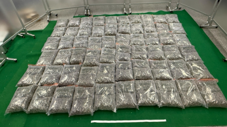 海關(guān)破獲三宗涉貨運(yùn)及旅客販毒案 涉款約5840萬元