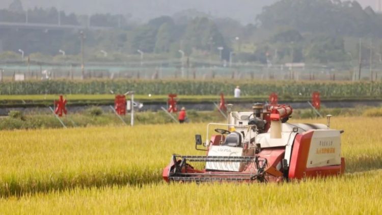 廣東加快實(shí)施「粵強(qiáng)農(nóng)裝」工程 農(nóng)機(jī)化與智慧農(nóng)業(yè)「雙輪」驅(qū)動(dòng)