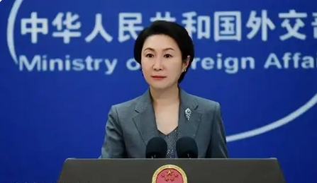 4名加拿大公民在中國(guó)被執(zhí)行死刑，外交部回應(yīng)