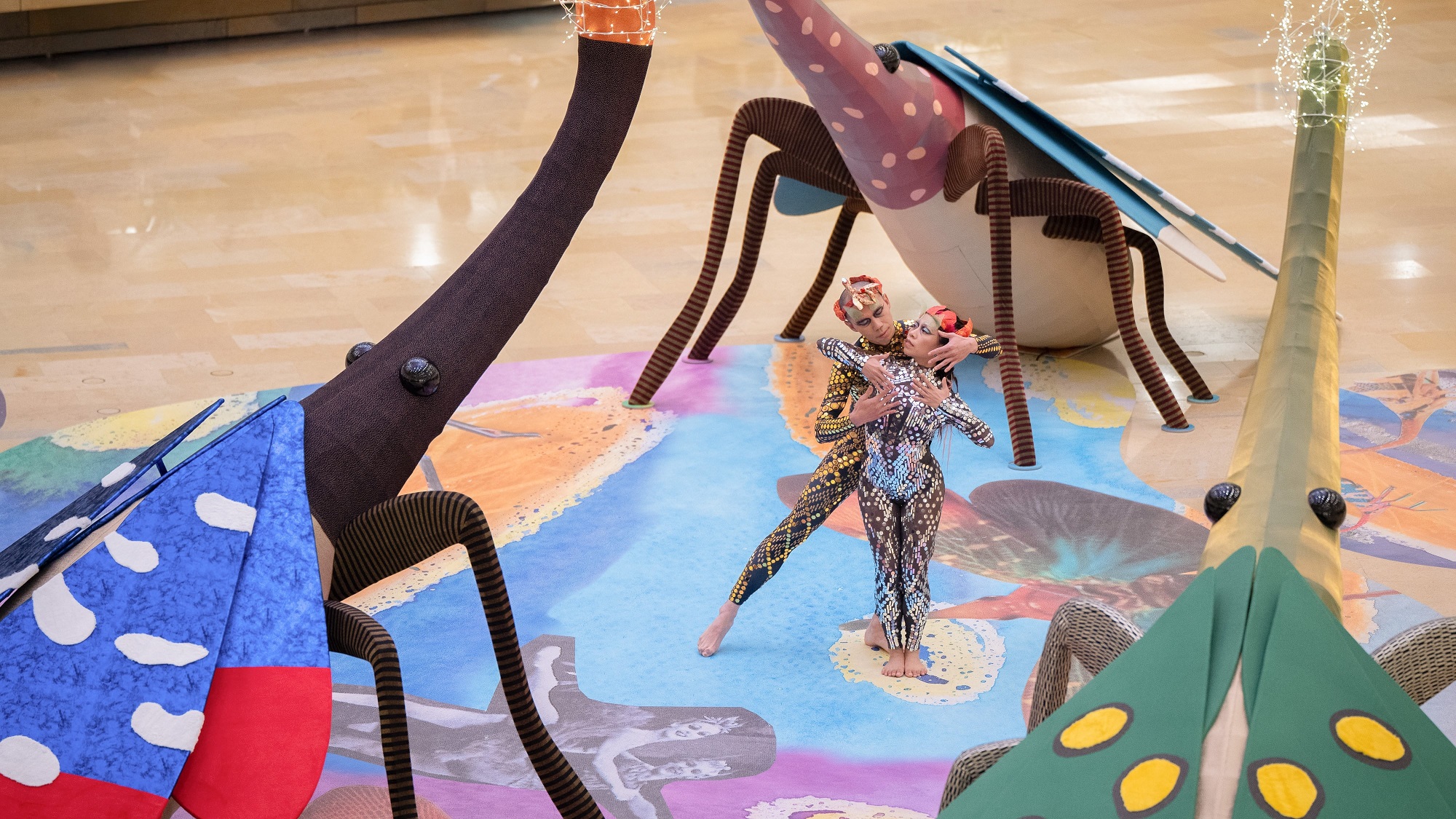 【藝術(shù)三月】體驗(yàn)奇妙昆蟲(chóng)蛻變舞蹈表演