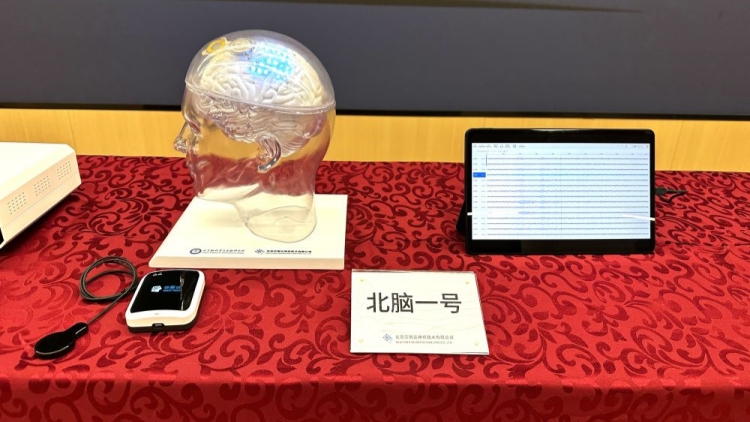 中國自研無線皮層腦機接口植入人腦通道數(shù)破世界紀錄