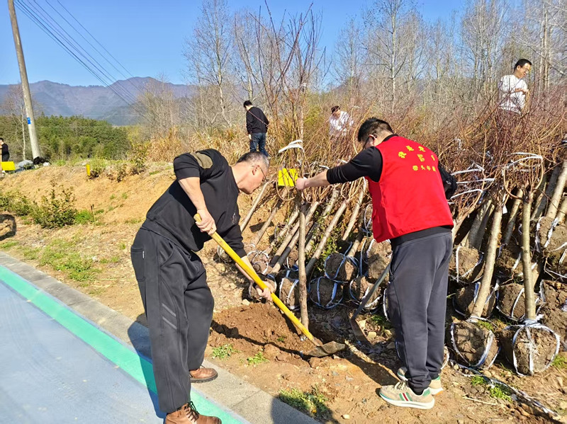 培育「鑄魂」實(shí)踐「扎根」創(chuàng)建「提質(zhì)」  皖黟縣文明之花絢麗綻放