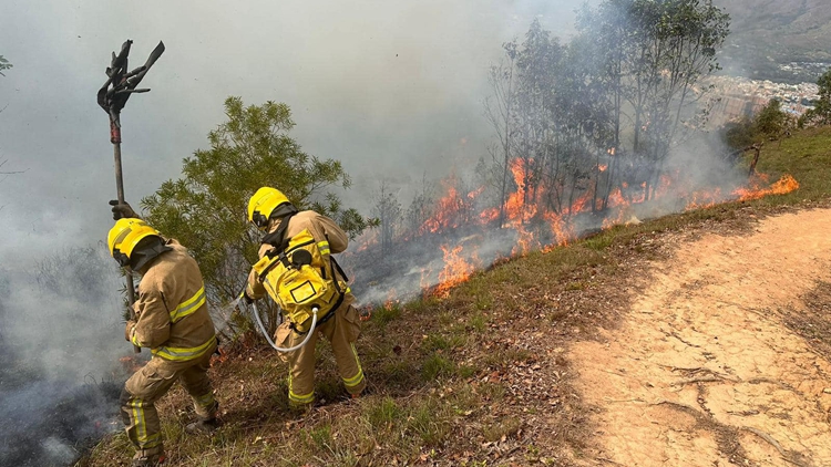 漁護(hù)署籲市民清明節(jié)掃墓謹(jǐn)慎處理火種 防止山火發(fā)生