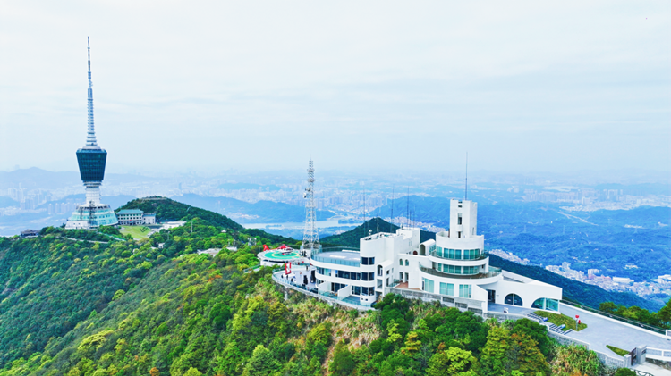 打卡深圳雲(yún)端新地標(biāo) 梧桐閣官方預(yù)約小程序正式上線(xiàn)！