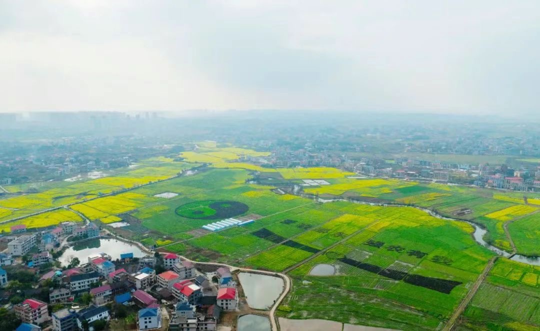 原創(chuàng)主旋律歌曲《生命至上》：「文藝反邪」宣傳教育的範(fàn)式標(biāo)桿