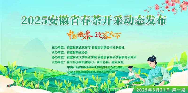 安徽茶葉主產(chǎn)區(qū)將陸續(xù)進(jìn)入開採期