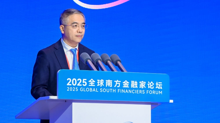 中國農(nóng)業(yè)銀行董事長谷澍：聚金融力量 譜全球南方發(fā)展新篇章