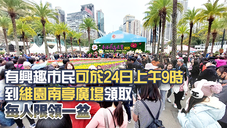 香港花展明晚9時(shí)閉幕 大會(huì)料將向市民派約3500盆花卉